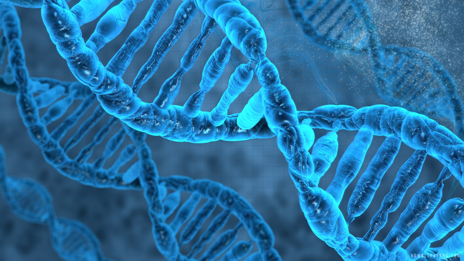 DNA sequence visualization