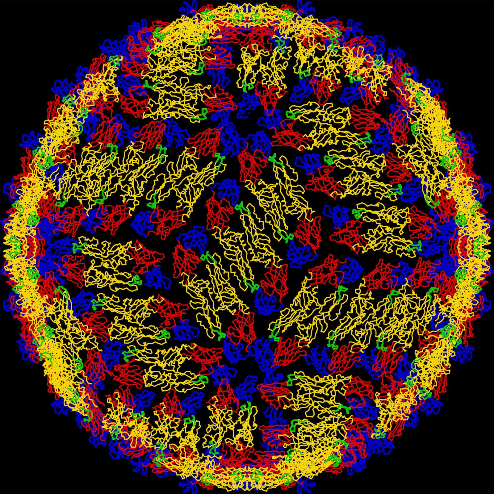 Virus genome visualization from thesis research